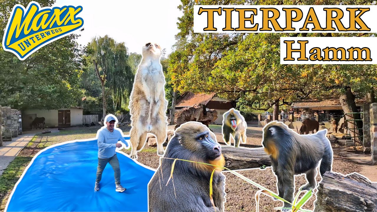 Tierpark Hamm | 2025