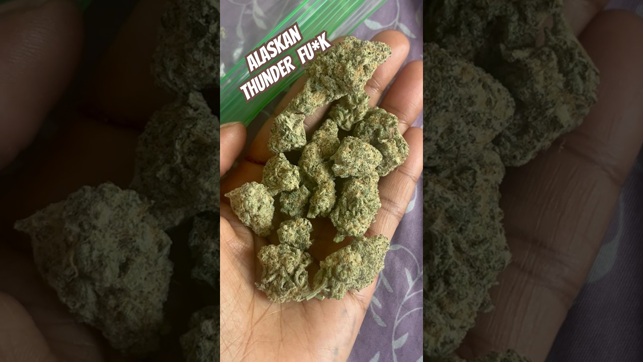 Alaskan Thunder Fuck (ATF) Strain Review