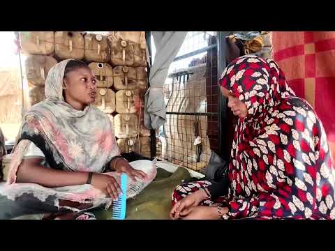 Shelling, hunger, humiliation: Sudanese flee al-Fashir | REUTERS