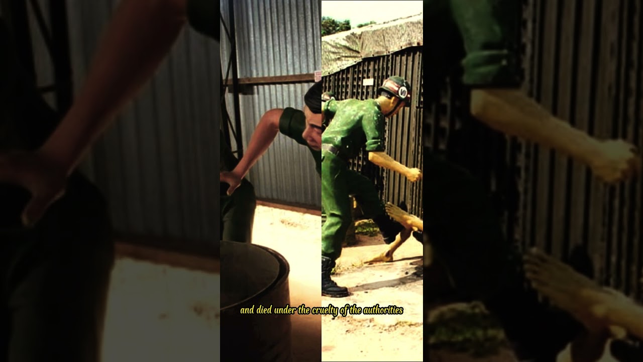 Con Dao prison, a living hell on earth