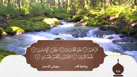 سورة الرحمن بصوت القارئ بيشه وا قادر الكردي صوت يريح القلب