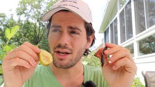 Light vs Dark Figs: Which do you Prefer