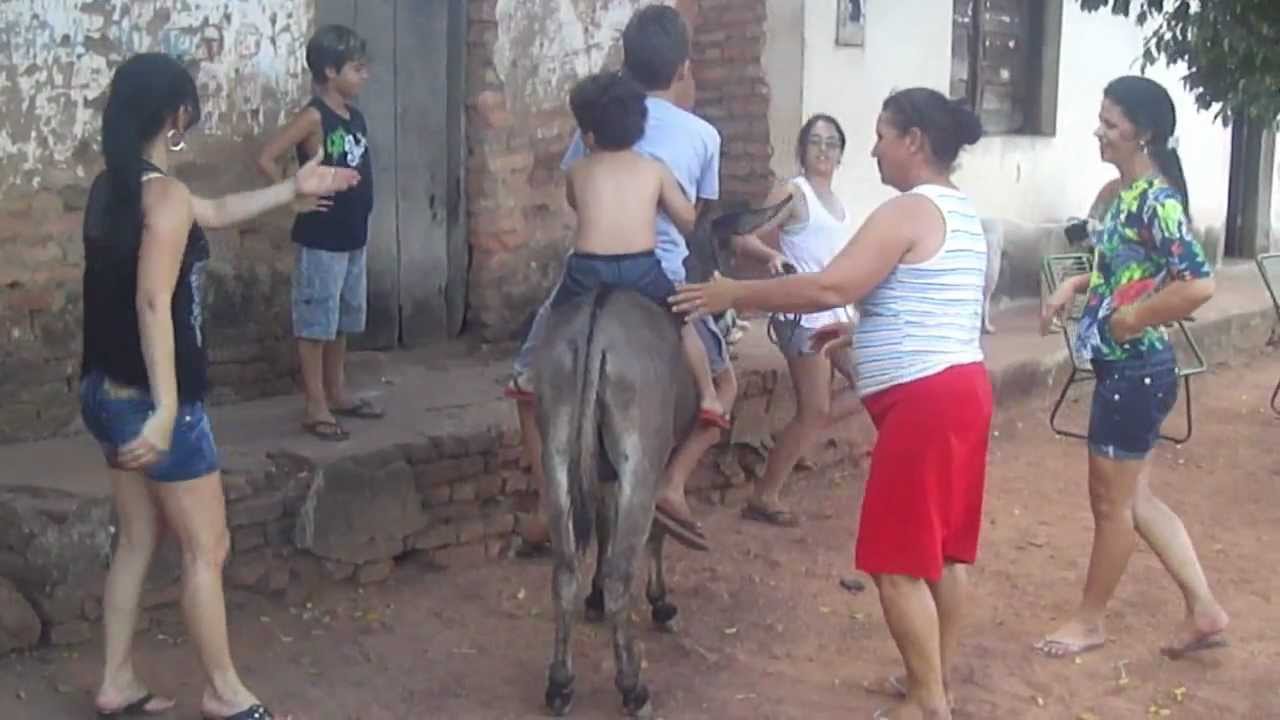 Eu andei no Jumento