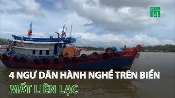 Quảng Ngãi: 4 ngư dân hành nghề trên biển mất liên lạc  | VTC14