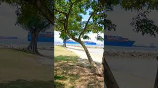 International Shipping Cargo #seacargo #shorts