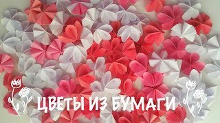 Цветы из бумаги DIY. Цветы сакуры. Декор стен. Декор праздника. Цветы из бумаги DIY. Цветы сакуры. Декор стен. Декор праздника.