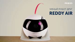 Умный роботдруг REDDY AIR