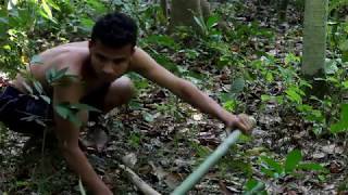 Primitive Technology: A-frame hut Part-1