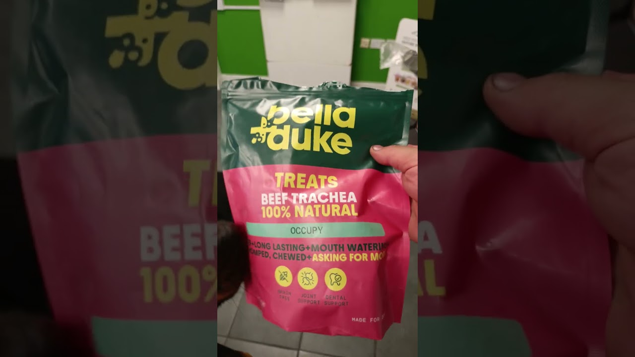 Bella & Duke Beef Trachea Review 🦴 | Our Rottweilers Give Their Verdict!