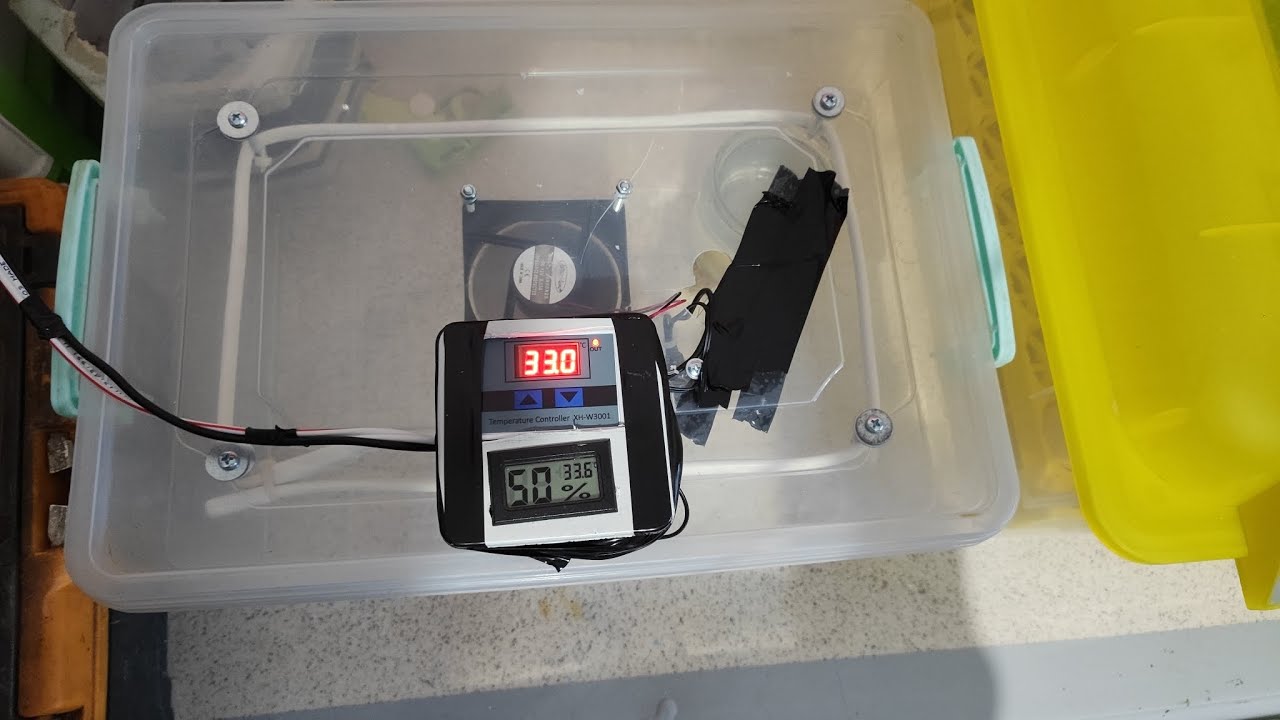 Evde Kuluçka makinesi nasıl yapılır