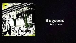 DRUM COVER - Bugseed - Tear Loose