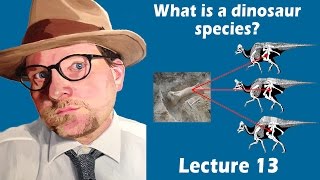 What is a dinosaur species