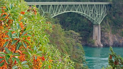 What To Do On Whidbey Island