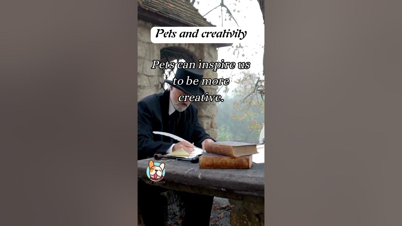 "Pets and Creativity: Unleash Your Imagination" 🐾🎨🌟 - YouTube
