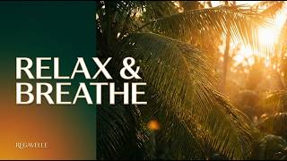 Dreamy Reggae Nights 🌙 Relaxing Music for Quiet Evenings