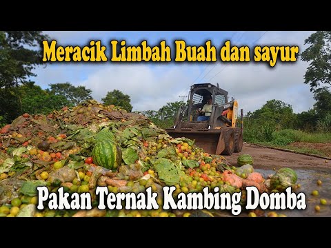 Video: Domba Dengan Sayuran