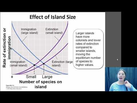 island biogeography examples