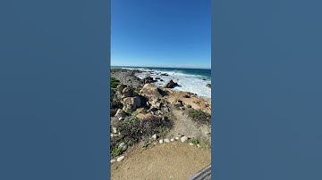 Thumbnail of 17 Mile Drive | Community