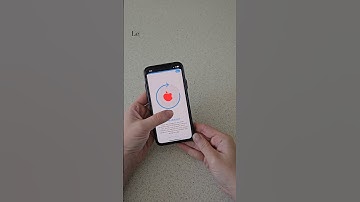 🔍 Discover more than just a food guide! 🌟