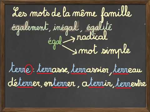 Vidéo: Lavers est-il un nom de famille ?