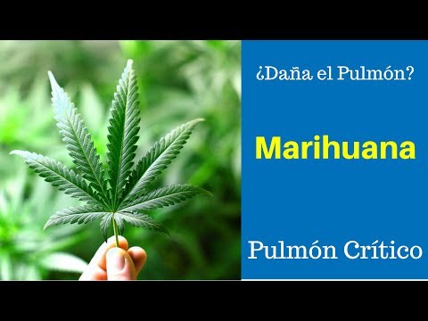 Marihuana, ¿Daña o no daña el pulmón? - Dr. Abraham Alí