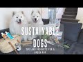 10 Ways to Be More Sustainable with Dogs | Samoyeds Share Green Living Tips