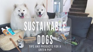 10 Ways to Be More Sustainable with Dogs | Samoyeds Share Green Living Tips