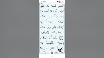 سورة هود صفحة (٢٣١)