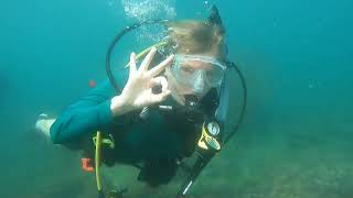 Puerto Peñasco Summer Diving Trip, Isla San Jorge, Bird Island