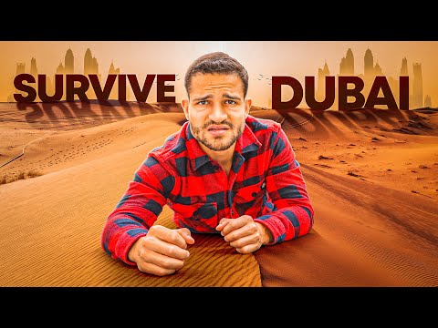 Video: How to move to the UAE