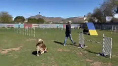 Start line lesson #4