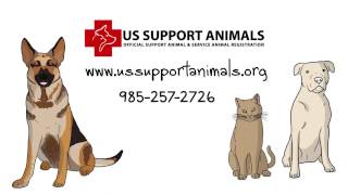 Register your Emotional Support or Service Animal Easily with USSupportAnimals.org