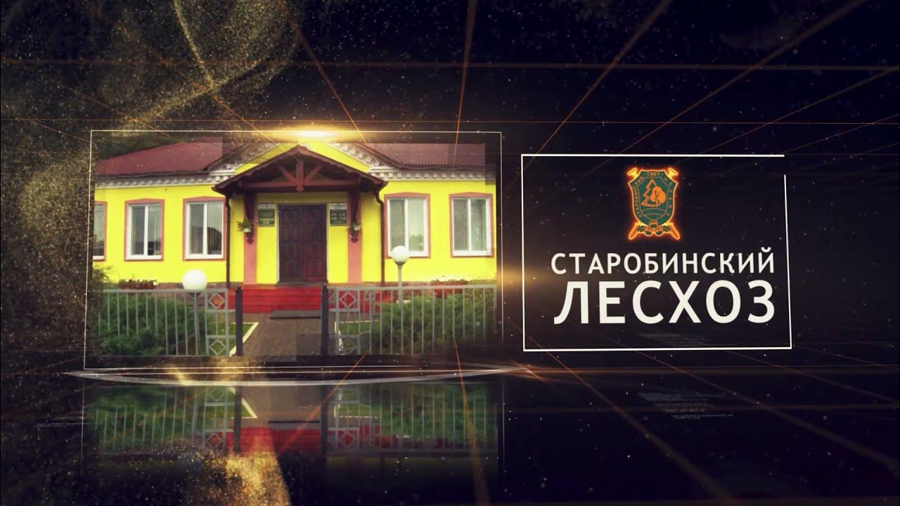 оао кочеволес. старобинский лесхоз. старобинский лесхоз. старобинский лесхоз фото. лесной кардон.