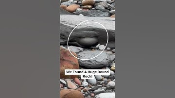 Here are two naturally spherical stones that we found! One was in a loose shale slab 🐊🔨