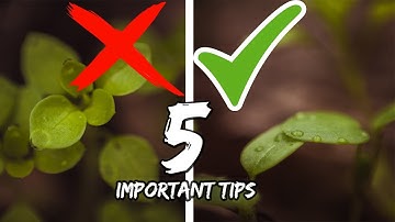 MACRO Photography Techniques YOU SHOULD know | REVERSED 50mm lens | REVERSE RING | NIKON D90