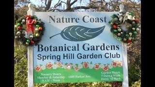 New Year's Day 2020 - Nature Coast Botanical Gardens by J. 9 views 4 years ago 2 minutes, 29 seconds