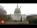2025 US Capitol Christmas tree arrives after 3000 mile journey from Nevada