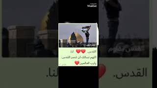 اللهم انصر ️القدس. يارب العالم.        وذل المحتلين عاجلآ غير اجلآ