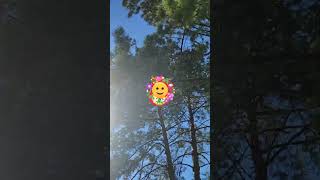 Социальный матричный проект