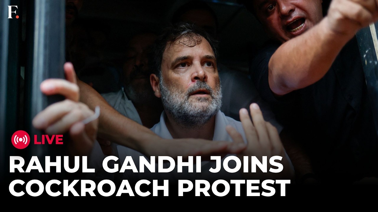 Cockroach Protest LIVE: Indian Opposition Leader Rahul Gandhi Heads to CJP Protest thumbnail