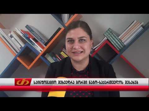 საინფორმაციო შეხვედრა გორში ნატო-საქართველოს შესახებ