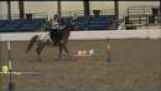 Me And Jake At Games Rally '08 screenshot 3