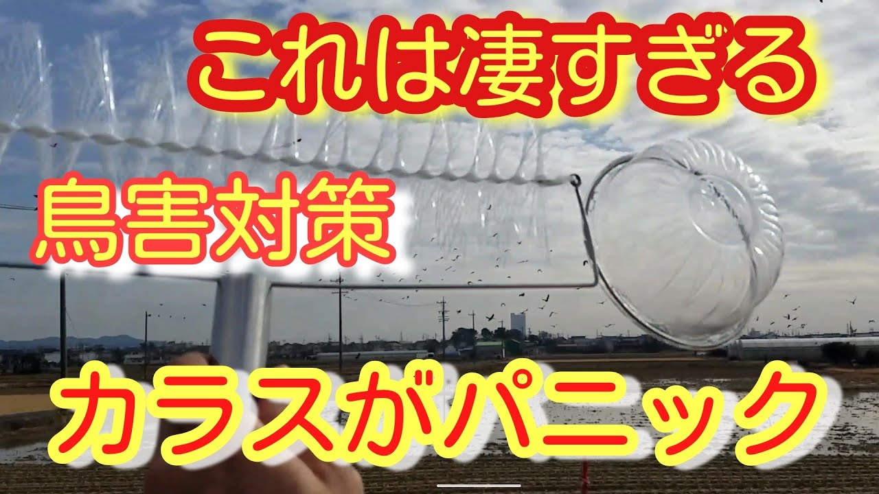 個人配送OK 農業ハウスカーテン用 コーティングワイヤー 500ｍ その他ガーデニング、園芸用品