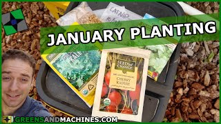 Heres Which Vegetables Im planting in January | Container Gardening