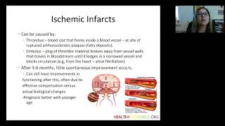 Neuroanatomy and functional sequelae of stroke Part 1 | Health4TheWorld Academy Profile
