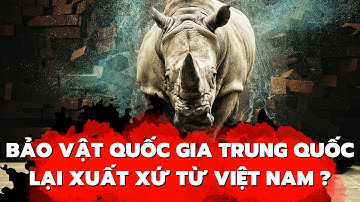 Thế Giới Bí Ẩn - Phần 30 - Bảo Vật Quốc Gia Nghìn Năm Tuổi Của Trung Quốc Có Nguồn Gốc Từ Việt Nam