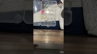 Organizing tackle box