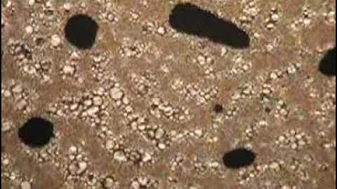 Phase transformation from an isotropic liquid to a nematic liquid crystal: Part 1