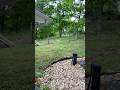 Building custom home garage part 1 #nature