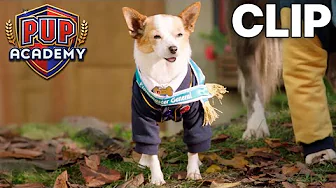 The New Prank Master | Pup Academy Clip